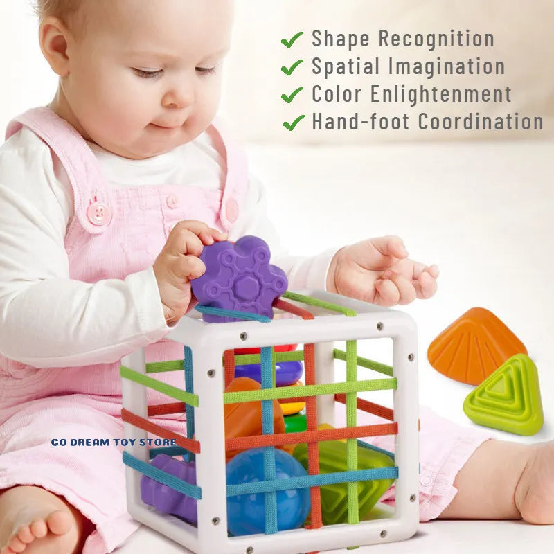 Colorful Shape Blocks Sorting Cube