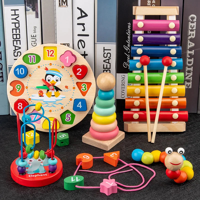 Educational Montessori Baby Toys