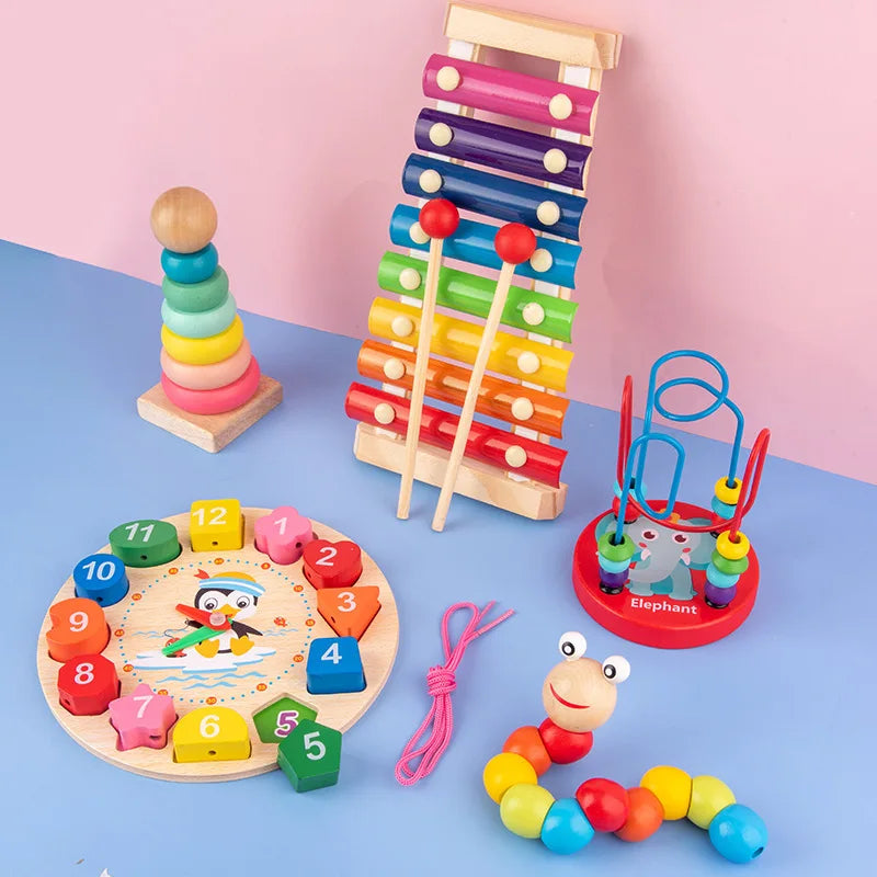 Educational Montessori Baby Toys