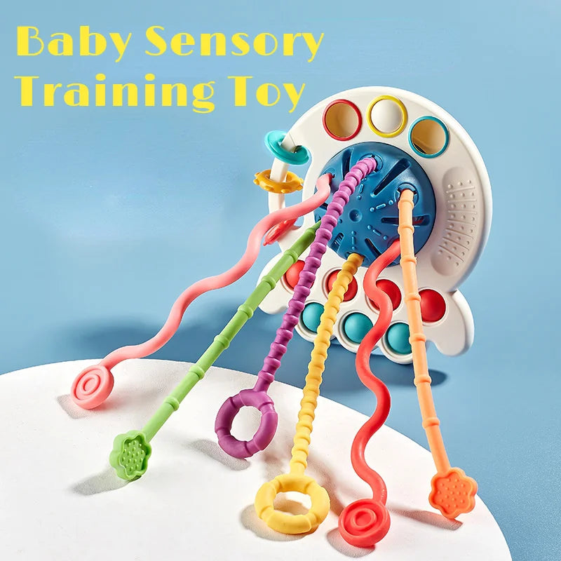 Montessori Sensory Development Baby Toy