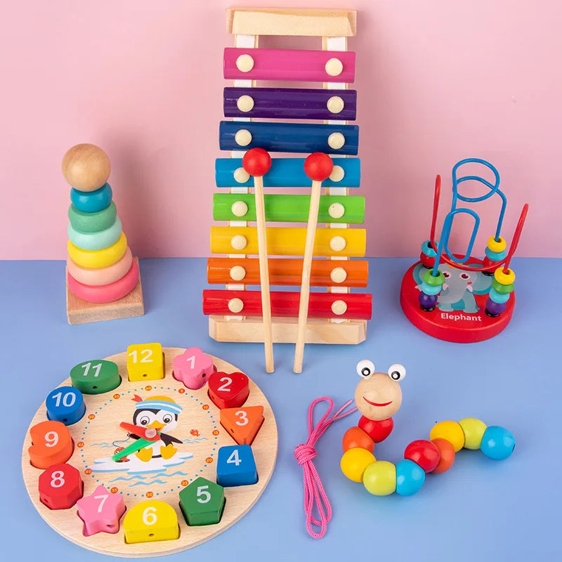 Educational Montessori Baby Toys