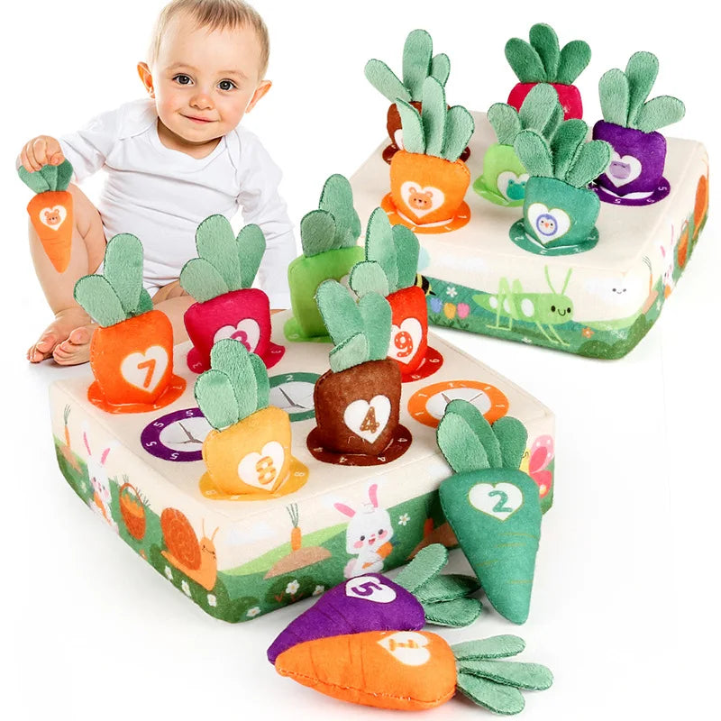 Baby Montessori Educational Sensory Toys